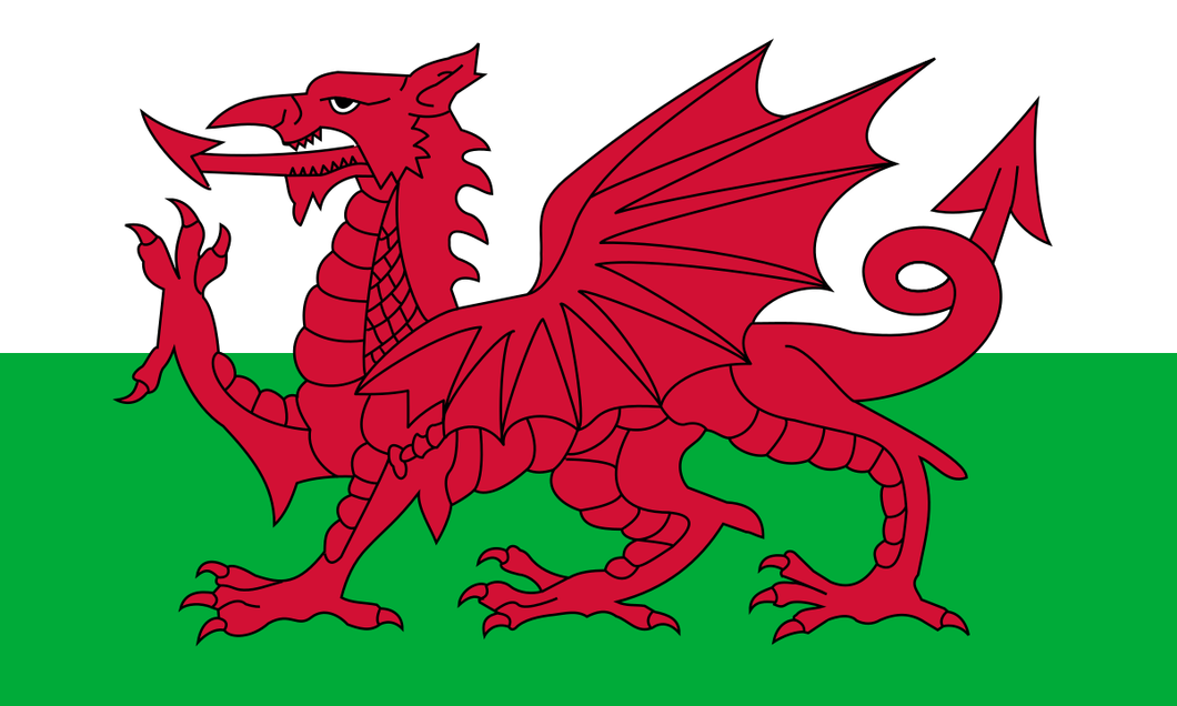 Welsh Flag 9x6ft