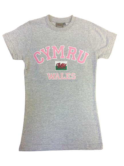 Sian Slim Fit Varsity Cymru T Shirt - in Grey Marl