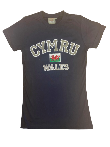 Sian Slim Fit Varsity Cymru T Shirt - in Navy Blue