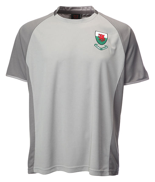 Kid's Ramsey Cooldry Welsh Football T-Shirt - In Grey