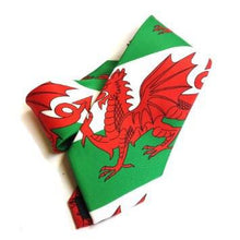 Load image into Gallery viewer, welsh-flag-mens-tie
