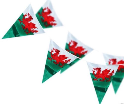 33FT Wales Welsh Flag Triangle Party Bunting