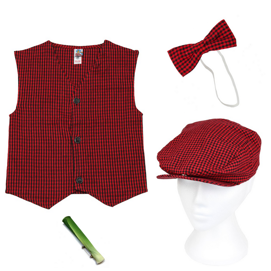 Boy's St David's Day Traditional 4 Piece Costume - in Red