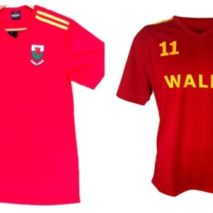 kids welsh cymru euro dragon shield side panel cooldry football t shirt