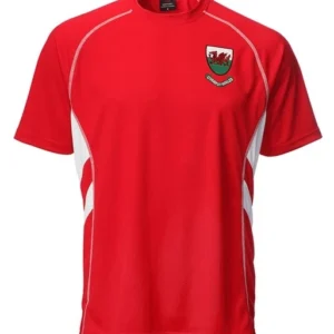 men's euro welsh cymru 'ryan' dragon shield side panel cooldry football t shirt
