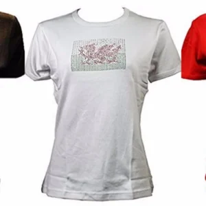 new women's teens welsh wales cymru flag diamante design skinny fit tshirt top