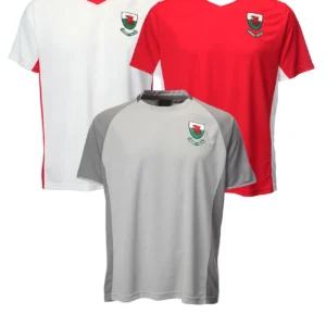 new kid's wales football supporter welsh dragon badge cool dry footy t shirts