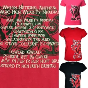 new ladies girls welsh wales cymru dragon national anthem skinny fit t shirt top