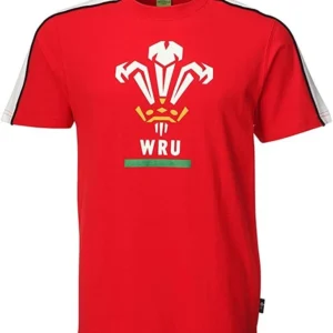 new men's wales wru welsh rugby union contrast feathers t shirt crew neck top