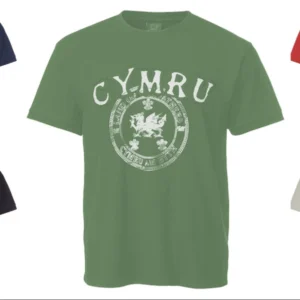 new men's or kids wales cymru crew neck short sleeve land of my fathers t shirt