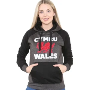 Women's Wales Cymru Am Byth embroidered hoodie