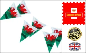 New 33ft Wales Welsh Dragon Cymru Am Byth Triangle Flags St David Party Bunting