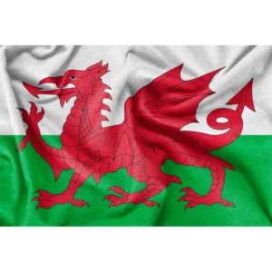 New St David’s Day Flags Cymru Wales Welsh Dragon National Patriotic Flag