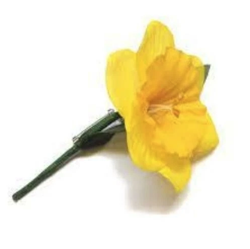 new wales cymru am byth st david's day march 1st daffodil or leek pin badge new wales cymru am byth st david's day march 1st daffodil or leek pin badge