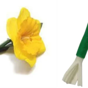 new wales cymru am byth st david's day march 1st daffodil or leek pin badge