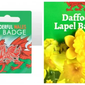 new welsh wales enamel red dragon st david's day flower daffodil lapel pin badge